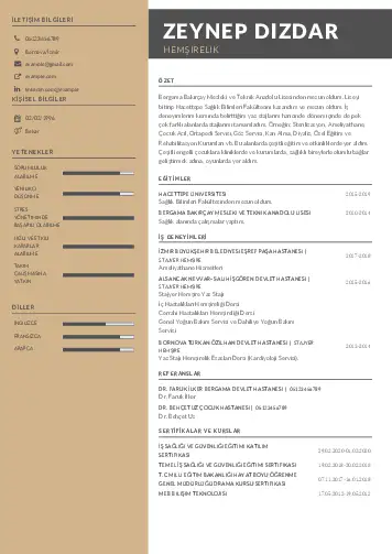 cv indir